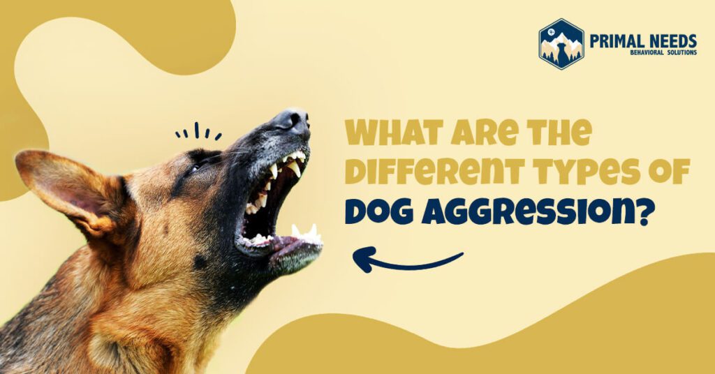 A dog with its mouth open and the text " what are these different types of dog aggression ?"