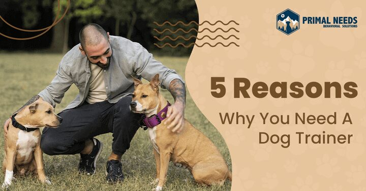 A man kneeling down next to a dog.