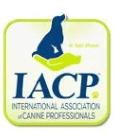 A yellow and green logo for the international association of canine professionals.