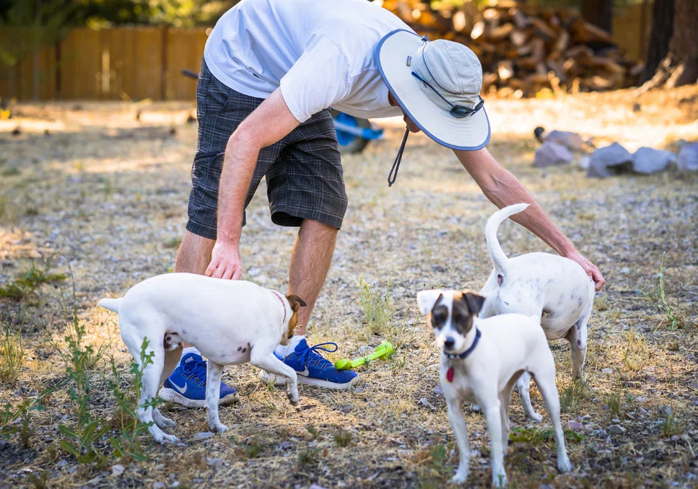 A man is playing with two dogs in the grass.