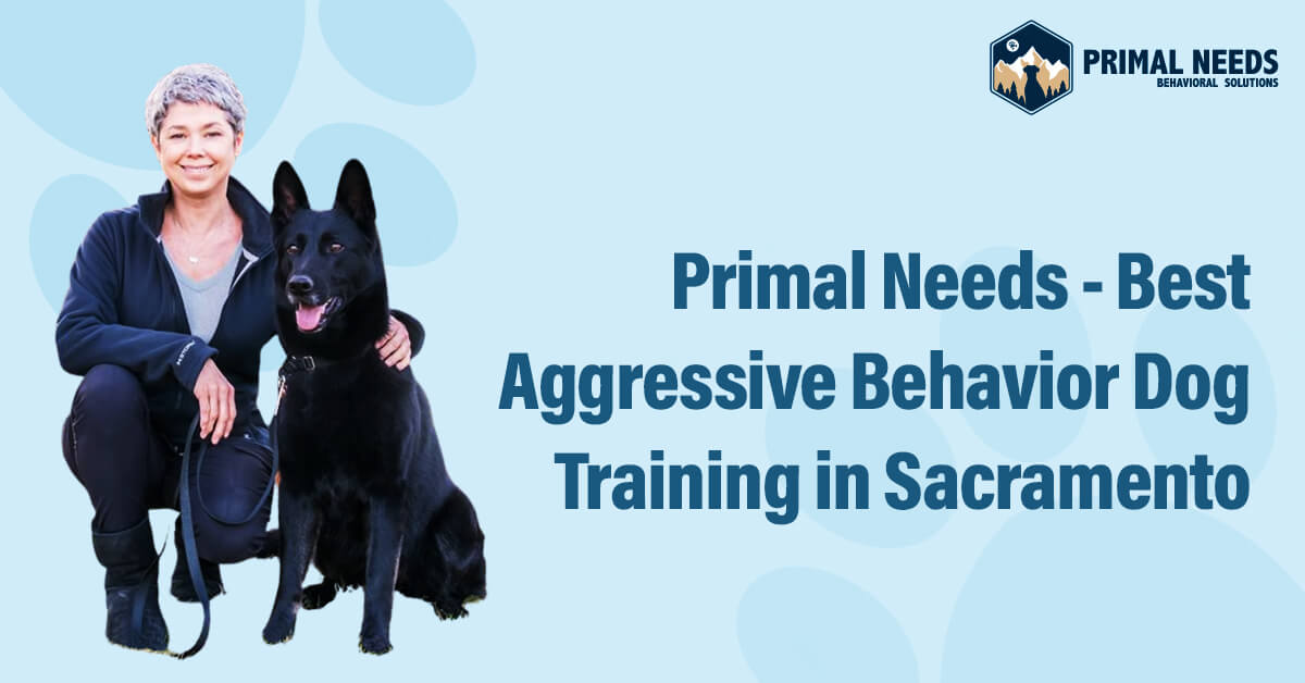 Primal Needs - Best Aggressive Behavior Dog Training in Sacramento