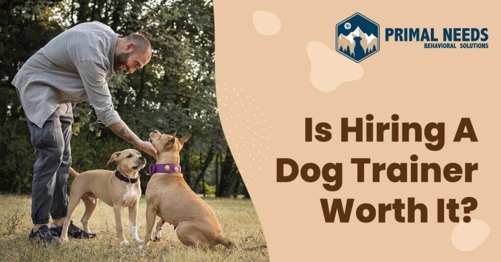 Is Hiring A Dog Trainer Worth It?