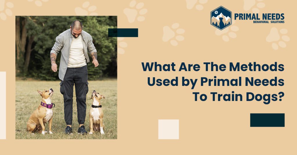 What are the methods used by Primal Needs to train dogs? | Primal Needs